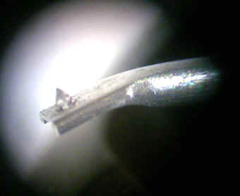 shibata1.jpg (72449 Byte)