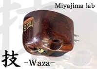wasa_200.jpg (11637 Byte)